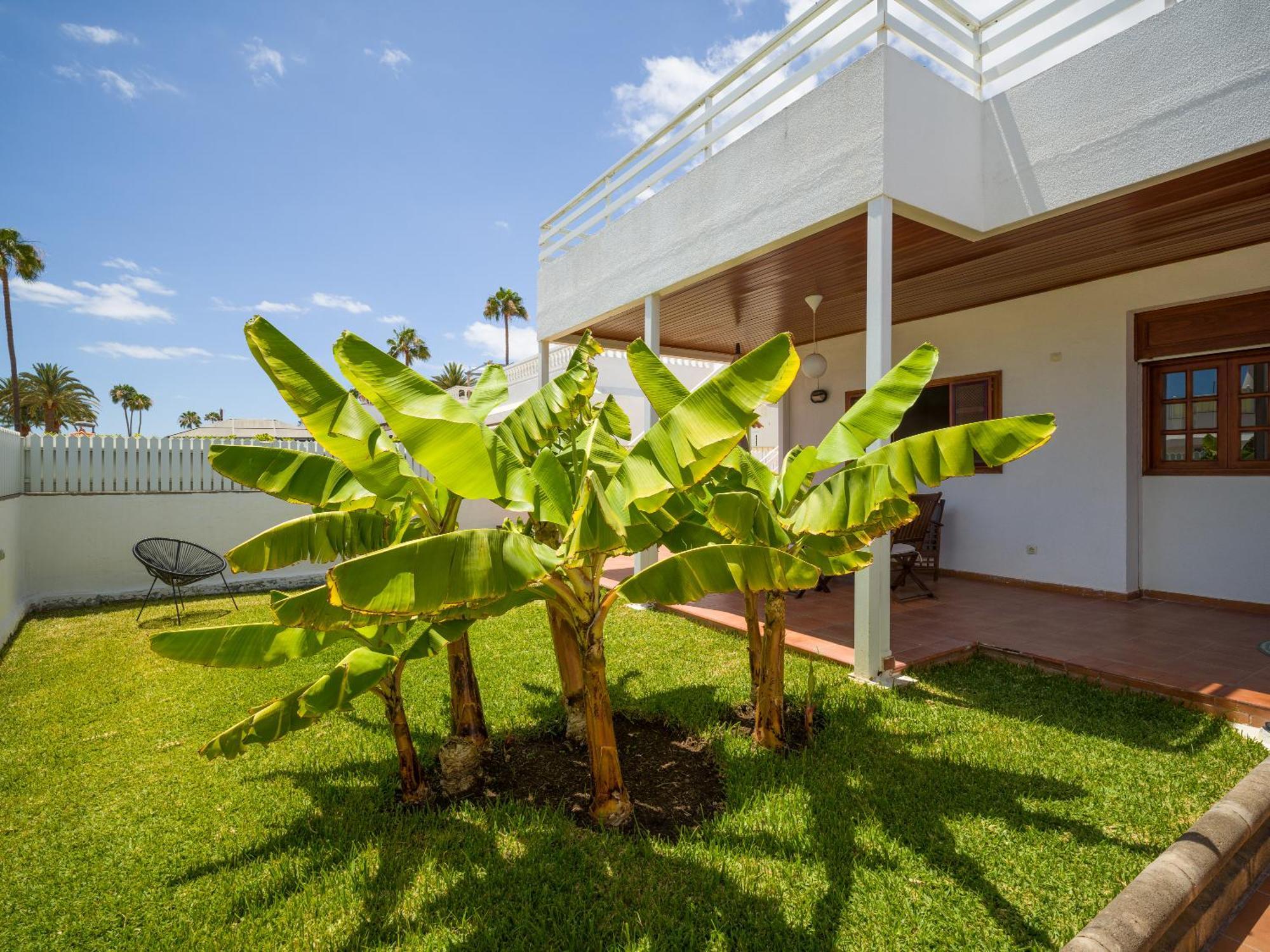 Banana House In Top Location By Tenpropertiesgc Maspalomas  Kültér fotó